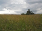 Parduodamas 50 arų sklypas Bubų km.Tai puiki vieta gyvenamojo namo statybai.