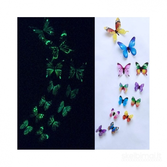 3D Sienos lipdukai drugeliai šviečiantys tamsoje