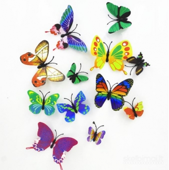 3D įvairiaspalviai sienos lipdukai drugeliai