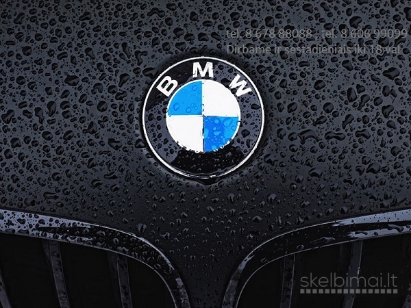 BMW E46 dalys
